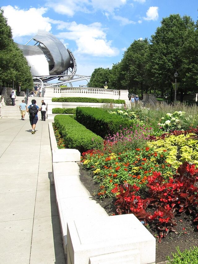 Amazing Activities in Chicago for This Weekend
