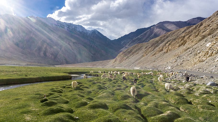 Nubra-Valley-Ladakh