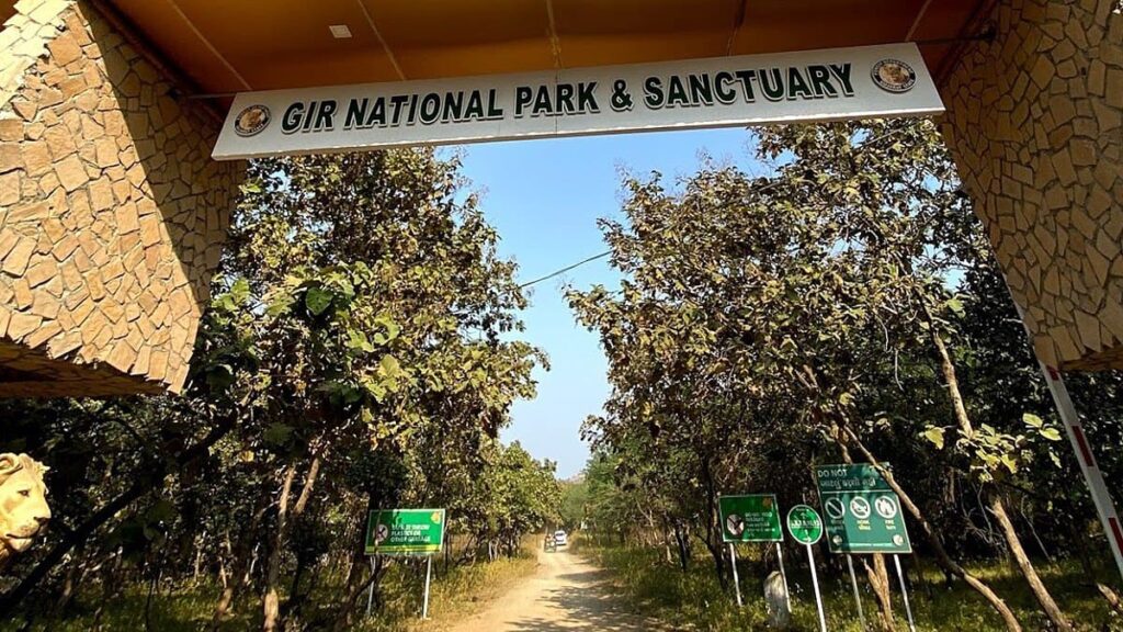 11 Best Places to Visit in Monsoon in Gujarat