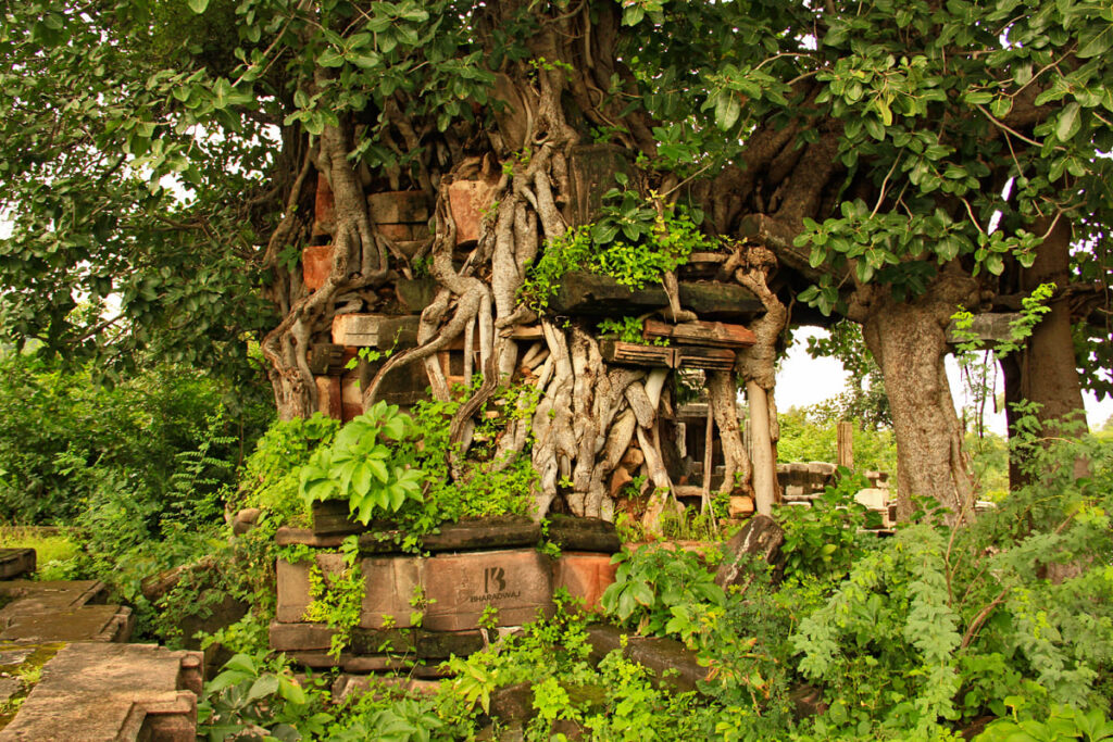 11 Best Places to Visit in Monsoon in Gujarat