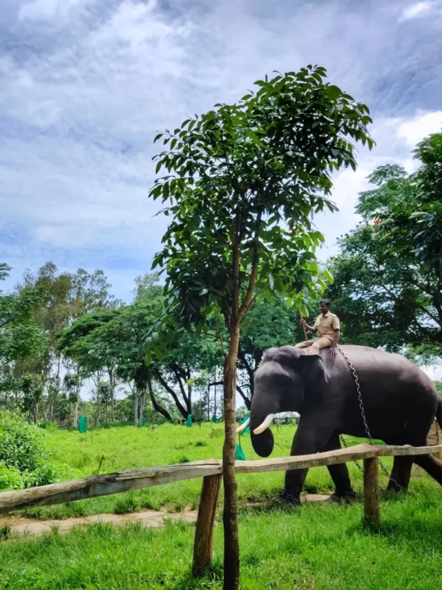 Best places to visit in for couples (INDIA) 𝗧𝗼𝘂𝗿𝗬𝗮𝘁𝗿𝗮𝘀