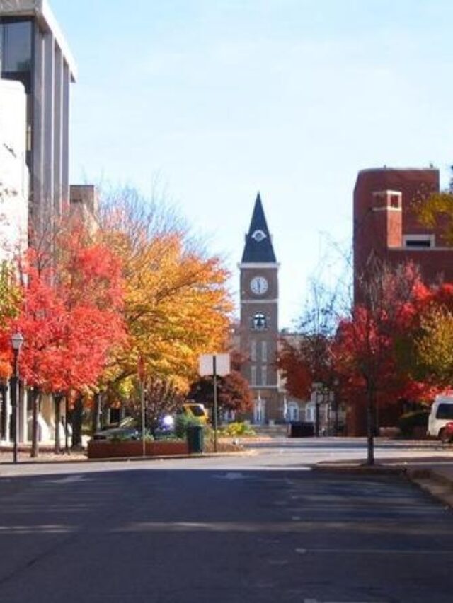 13 Best Things To Do In Fayetteville, Arkansas This Weekend 𝗧𝗼𝘂𝗿𝗬𝗮𝘁𝗿𝗮𝘀