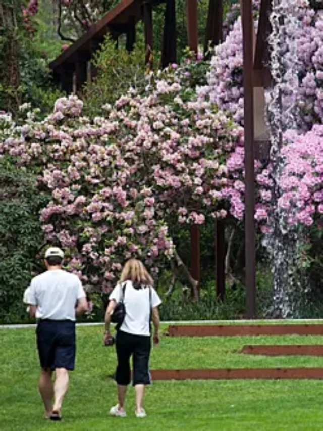 13 ROMANTIC THINGS TO DO IN CAPE COD, MA 2023 𝗧𝗼𝘂𝗿𝗬𝗮𝘁𝗿𝗮𝘀