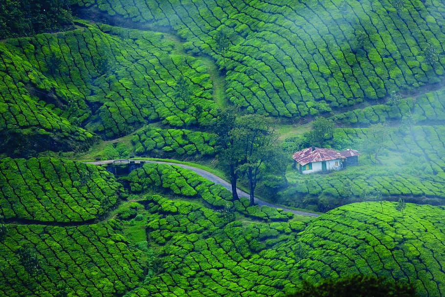 10 South Indian Hill Towns