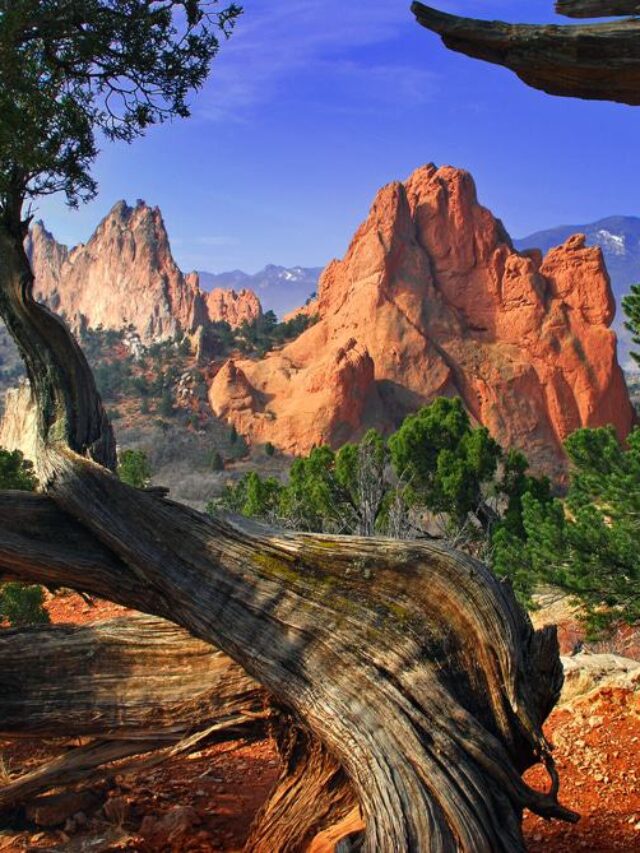 13 Best Things to Do in Denver, Colorado 𝗧𝗼𝘂𝗿𝗬𝗮𝘁𝗿𝗮𝘀