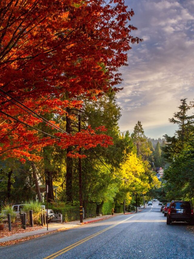 10 Best Cities to Retire in Nevada in 2023 𝗧𝗼𝘂𝗿𝗬𝗮𝘁𝗿𝗮𝘀