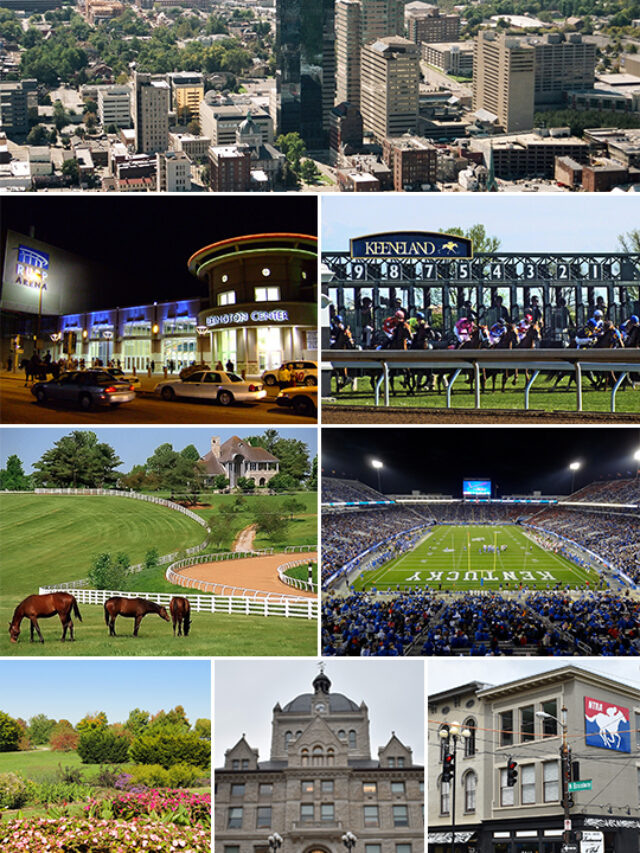 7 Best Things to do in Lexington, KY 𝗧𝗼𝘂𝗿𝗬𝗮𝘁𝗿𝗮𝘀