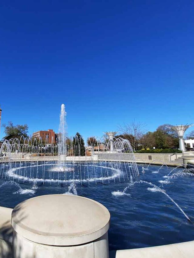 9 Best Cities in South Carolina to Live and Visit 𝗧𝗼𝘂𝗿𝗬𝗮𝘁𝗿𝗮𝘀