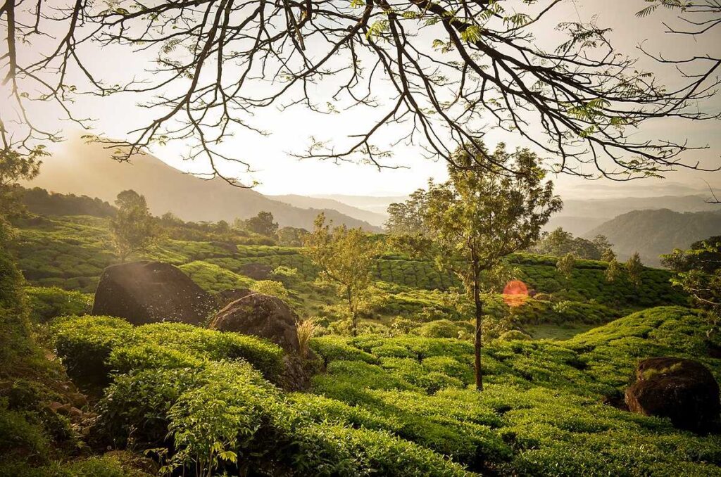 Top 15 Lovely Hill Stations in Kerala for Couples 