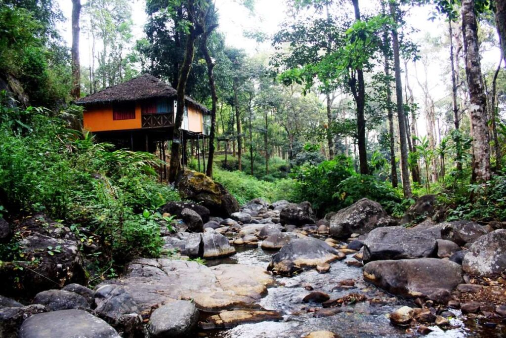 Top 15 Lovely Hill Stations in Kerala for Couples 