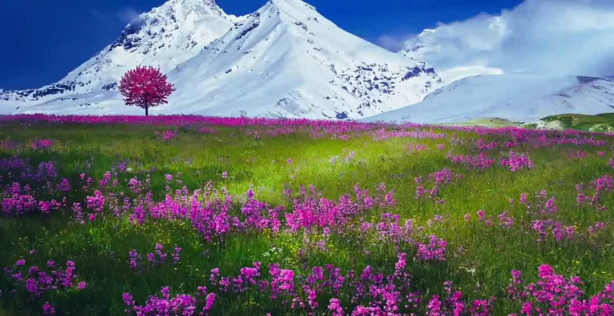 Lachung and Lachen