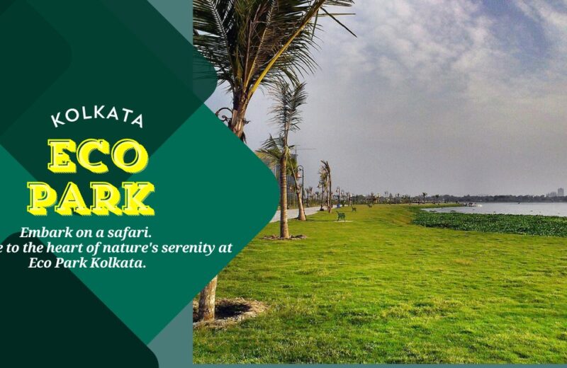 eco park kolkata image