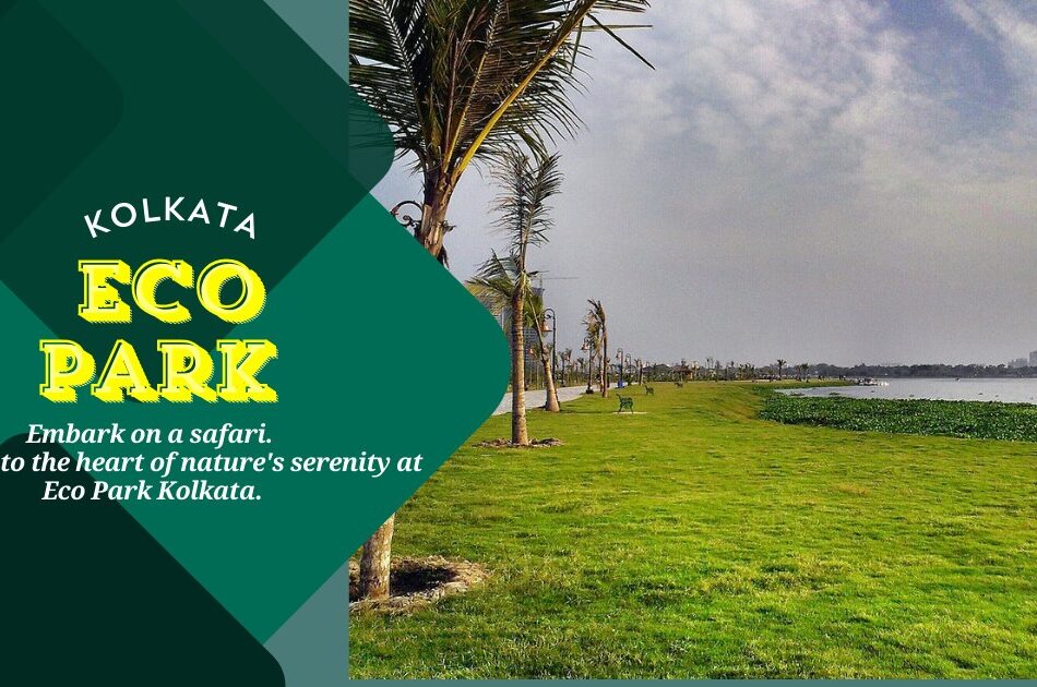 Eco Park Kolkata 2026 - Timings, Activities, Entry Free & Full Details