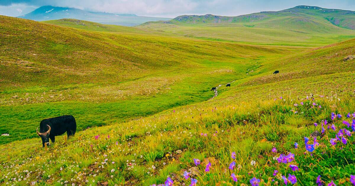 9 Places in India That Look Like Another Planet