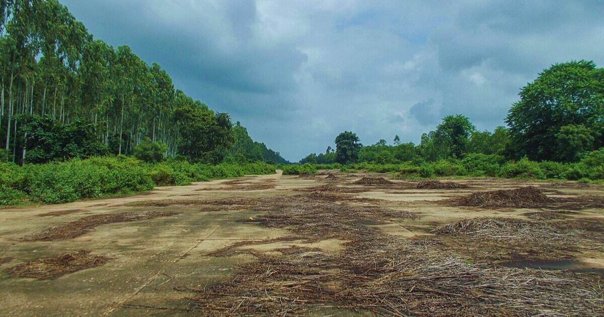 Joypur Forest