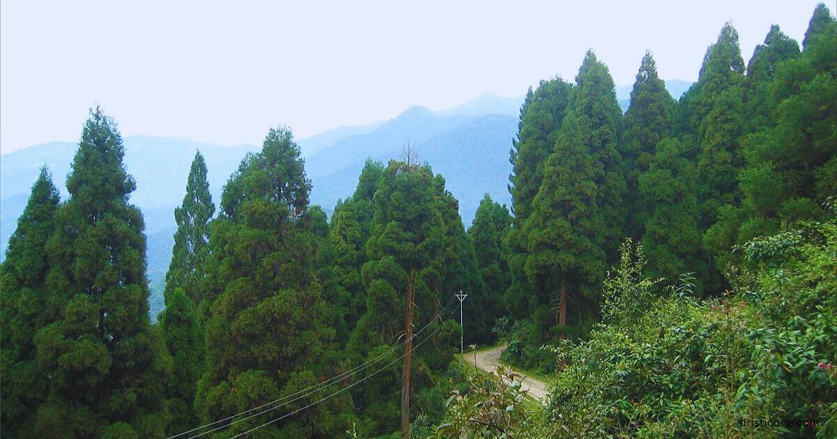 9 Beautiful Hill Stations in West Bengal 