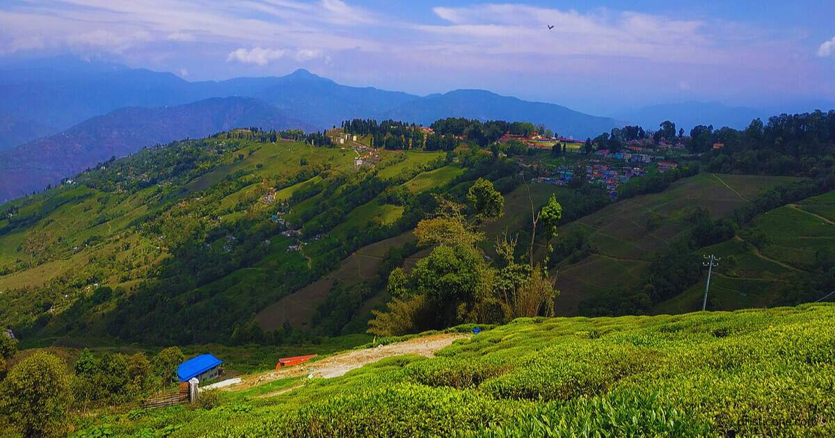 Darjeeling 