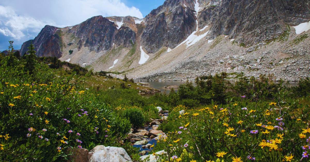 10 Interesting Facts About Valley of Flowers