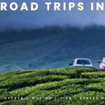 Top 7 Road Trips You Should Take Before You Turn 30