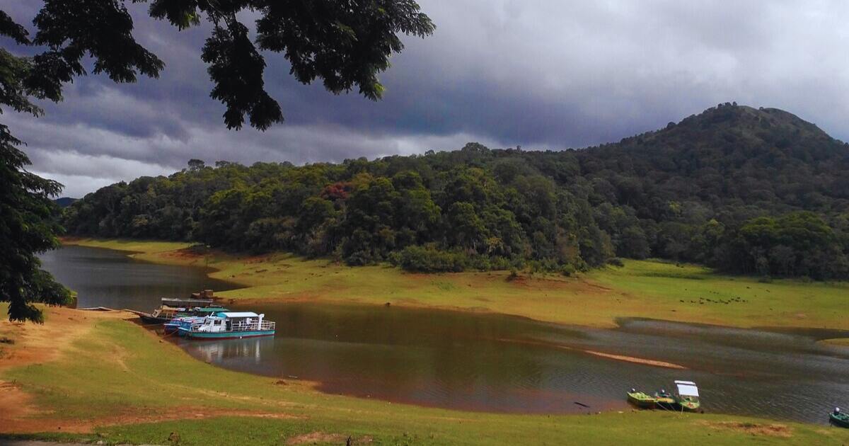 Thekkady (Periyar Wildlife Sanctuary)