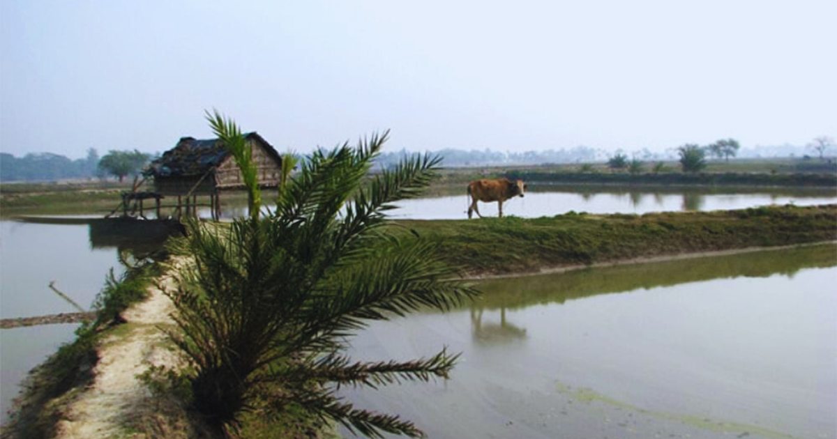 5 One-Day Trip Destinations from Kolkata City Within 100 Km