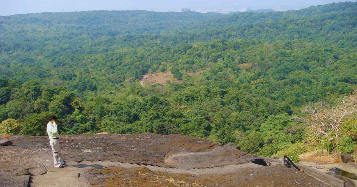 Sanjay Gandhi National Park