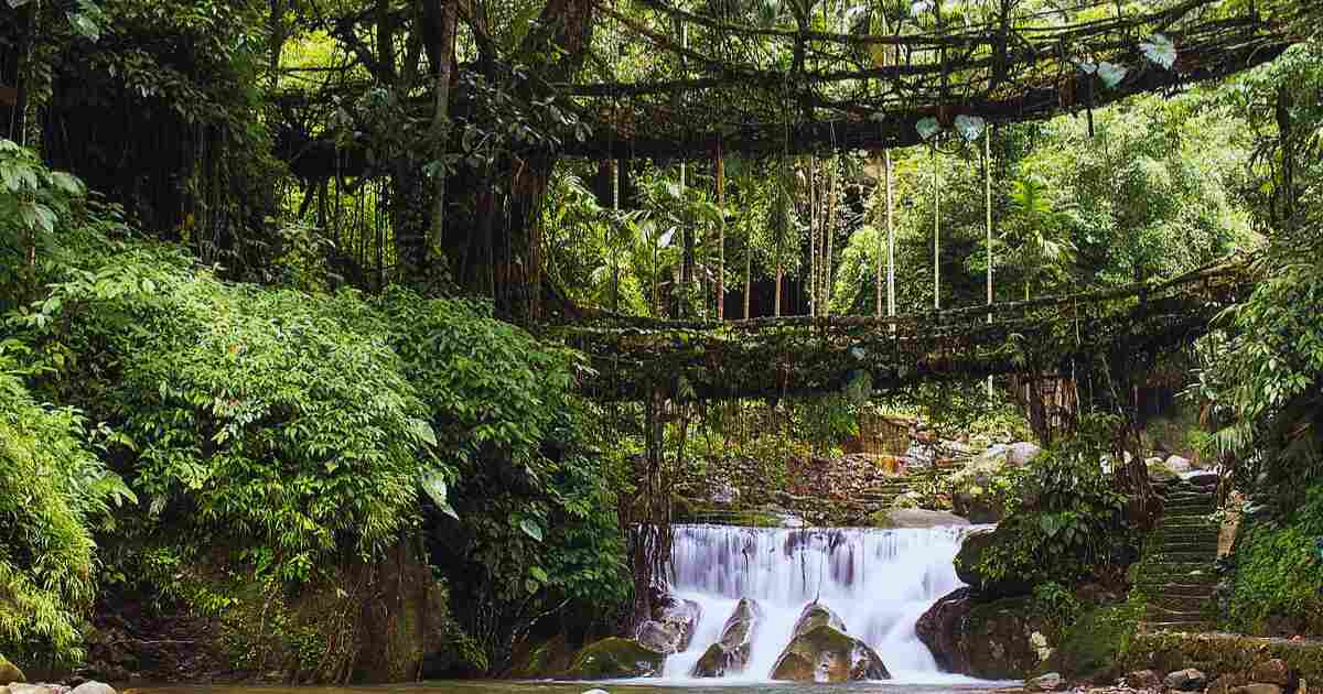 9 Magical Places in India Where Nature Feels Like Pure Fantasy
