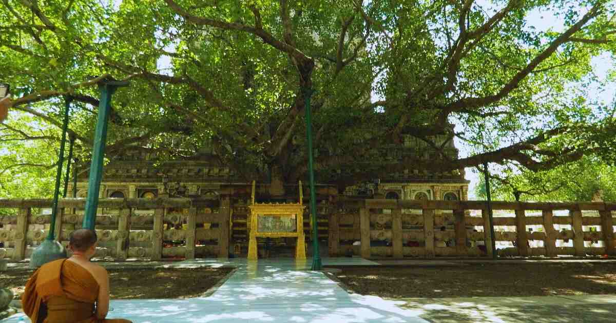 Bodh Gaya Travel Guide