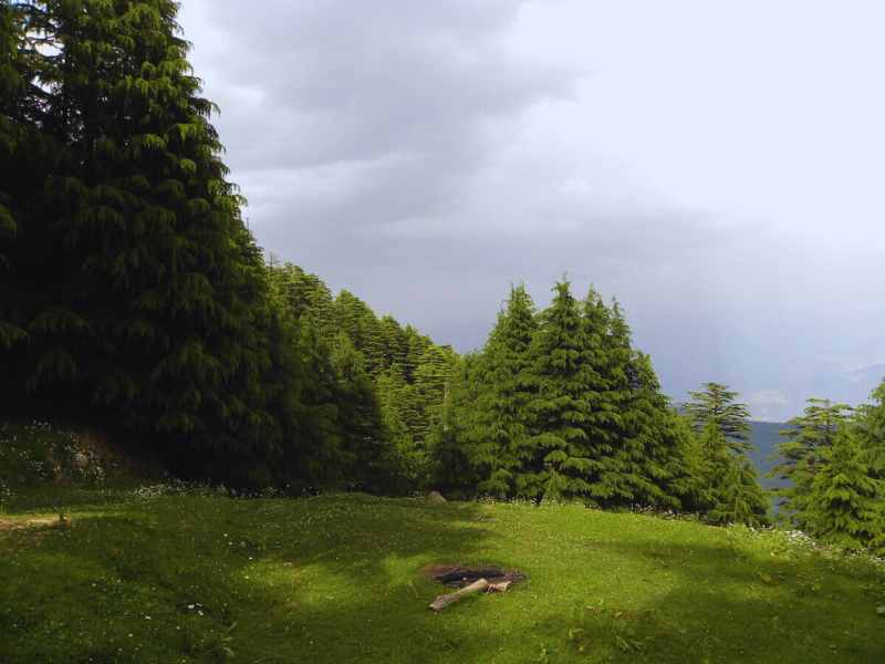 Kalatop Forest, Dalhousie – The Haunted Forest of Kalatop