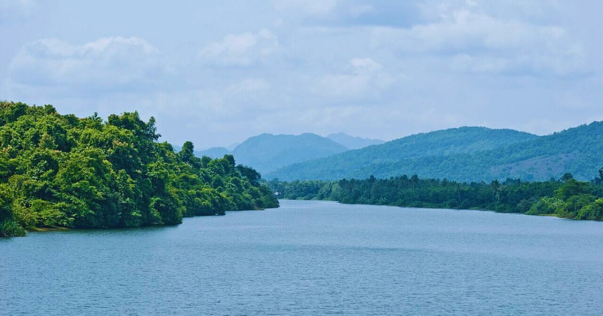 top 7 Bird watching spot to visit in India this February-March