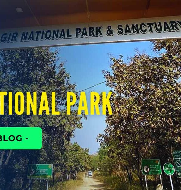 Gir National Park Wildlife Guide