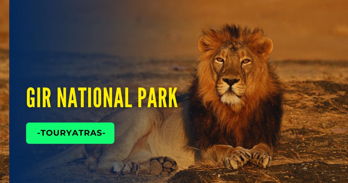 Gir National Park full details
