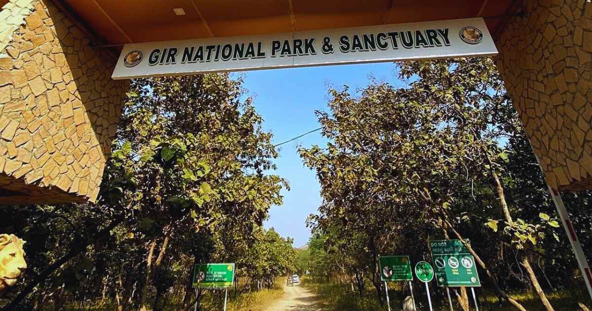 Gir National Park full details