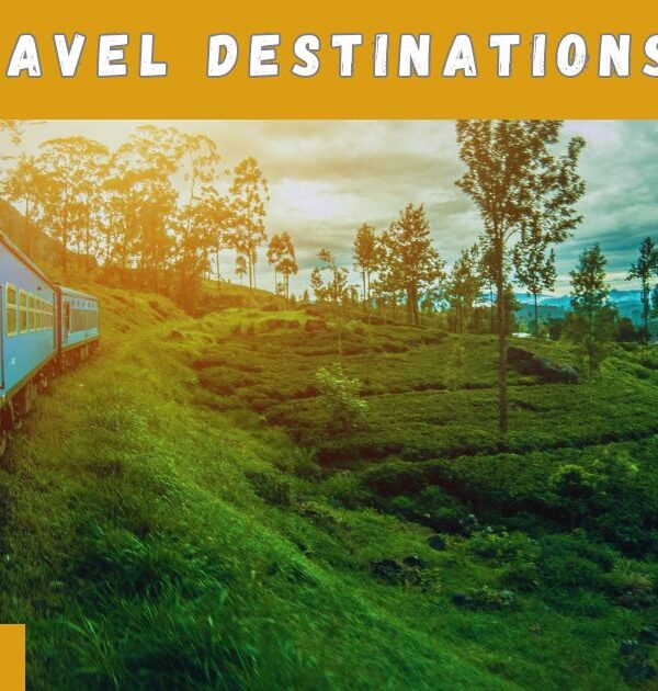 Top 7 Solo Travel Destinations in Asia