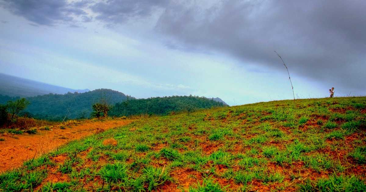 Coorg - Forest Camping in the South