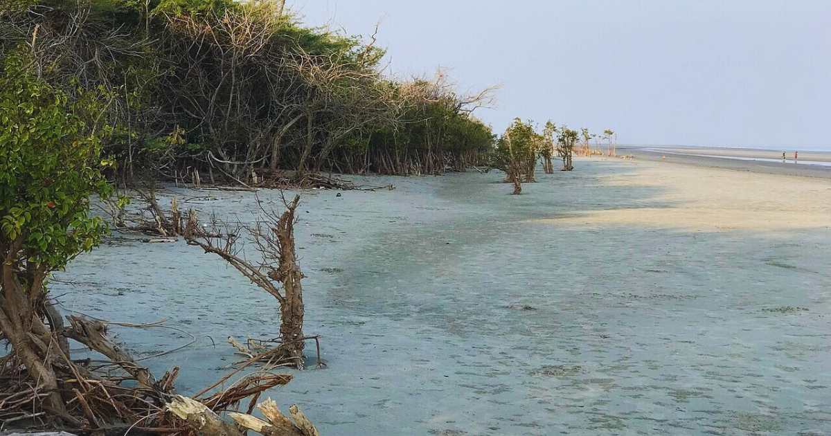 Henryโs Island Beach