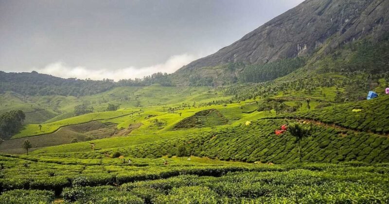 10 Best Family Vacation Places in India for Summer (2026 Guide)