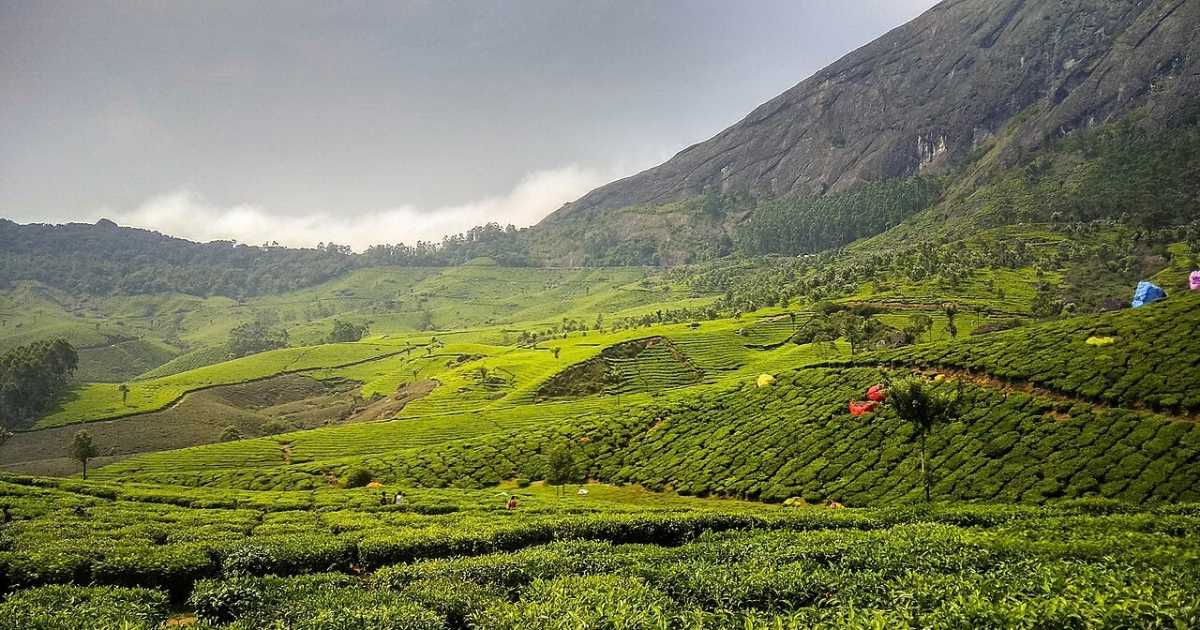 9 beautiful nature lovers places in South India