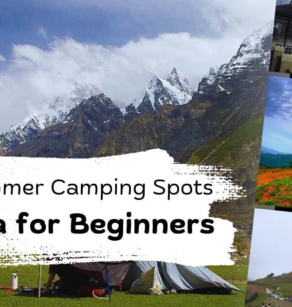 Best Summer Camping Spots in India for Beginners