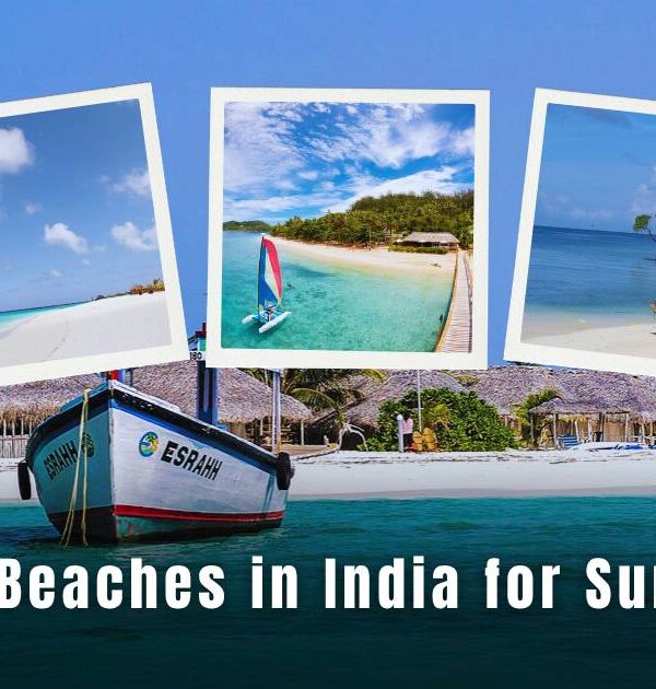 Best Beaches in India for Summer