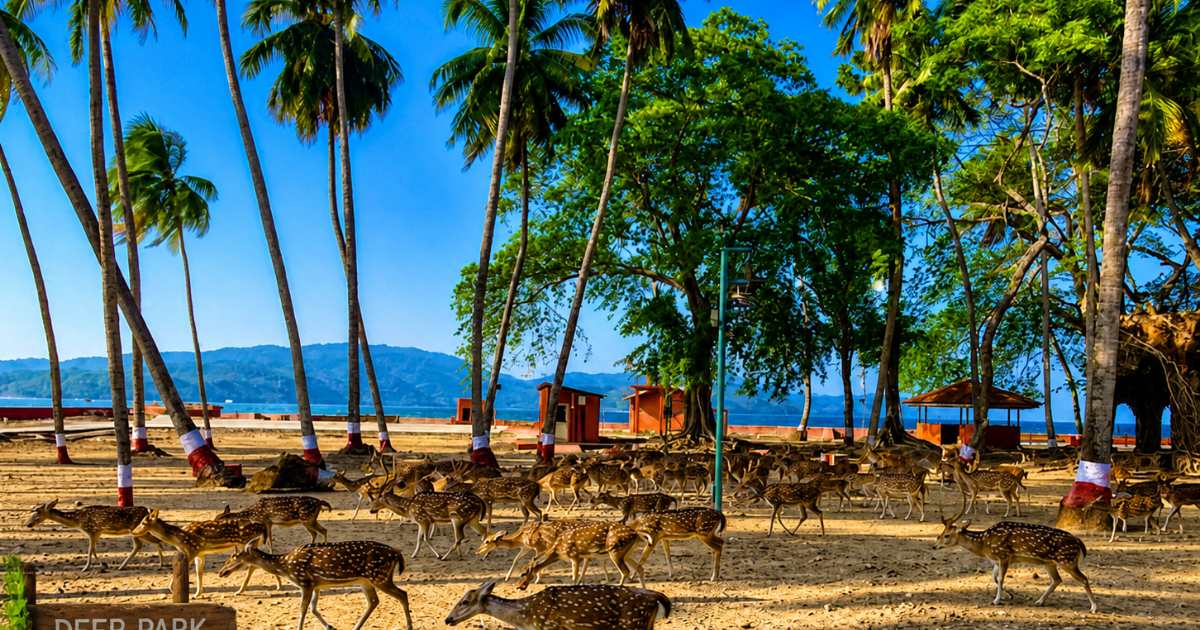 Dear Island Andaman