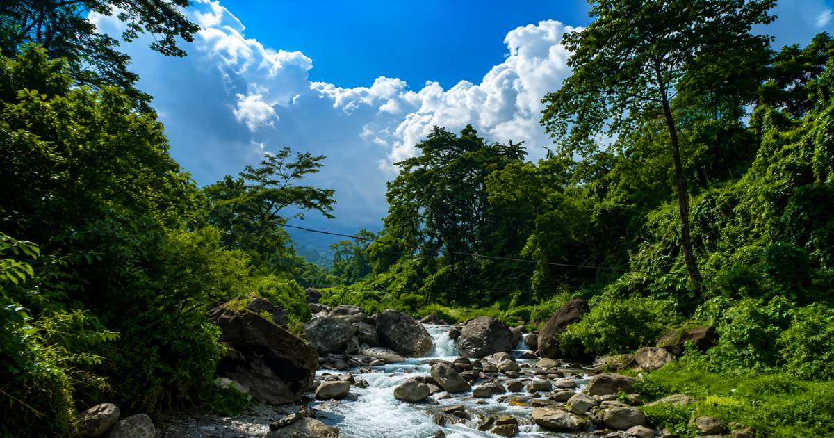 Hidden Waterfalls in North Bengal- Baghmara Waterfall