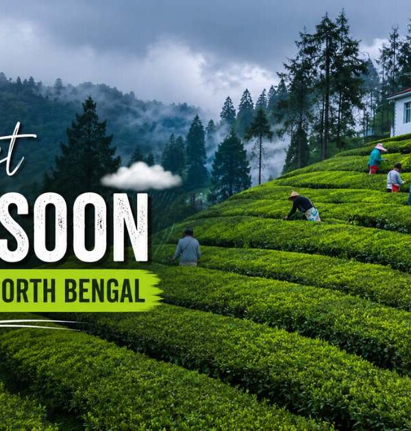 7 Best Monsoon Places in North Bengal